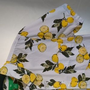 Men's Medium Button Down